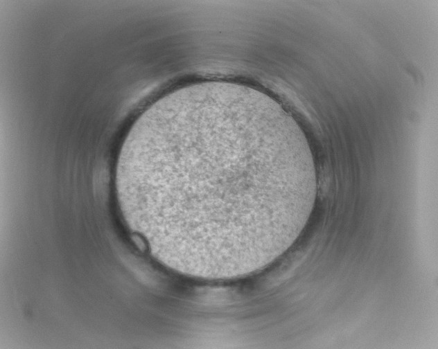 X0000115060448200911231218