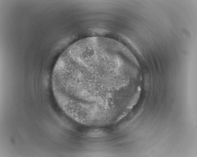 X0000115060451200911231218