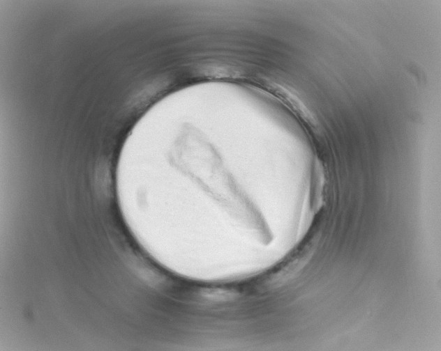 X0000115060453200911231218