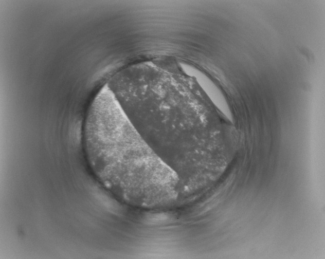 X0000115060454200911231218