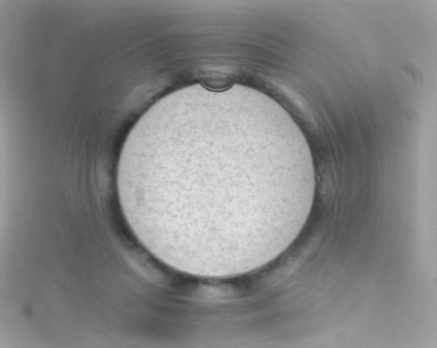 X0000115060455200911231218