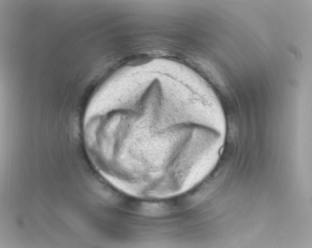 X0000115060457200911231218