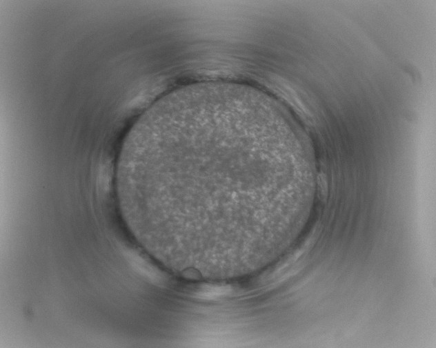 X0000115060458200911231218