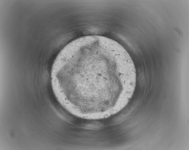 X0000115060459200911231218