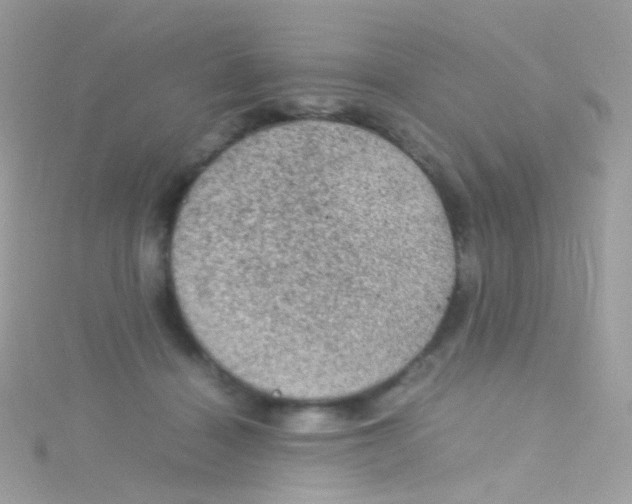 X0000115060460200911231218