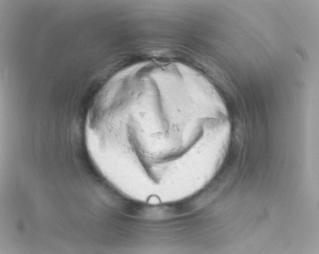 X0000115060461200911231218