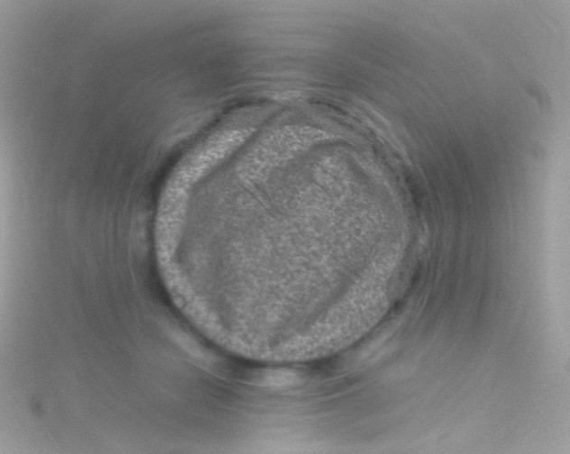 X0000115060462200911231218