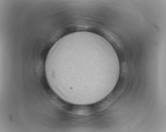 X0000115060463200911231218