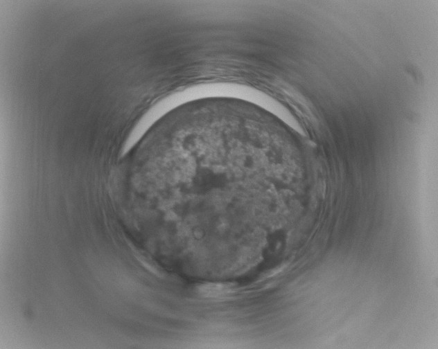 X0000115060465200911231218