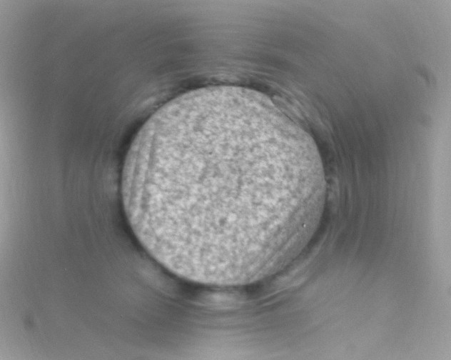 X0000115060466200911231218