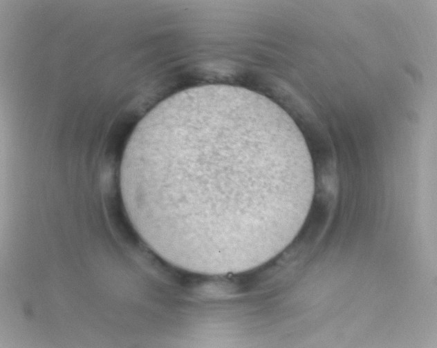 X0000115060468200911231218