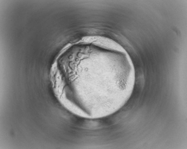 X0000115060469200911231218