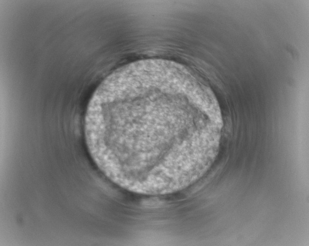 X0000115060470200911231218