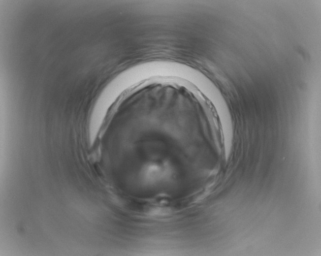 X0000115060471200911231218