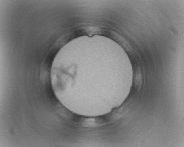 X0000115060473200911231218