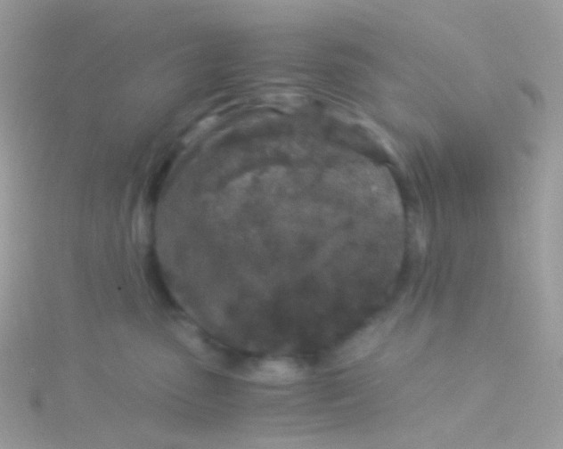 X0000115060475200911231218