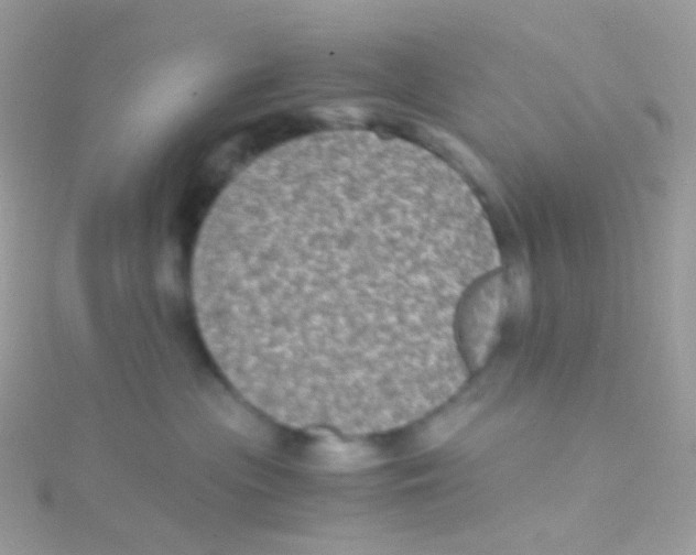 X0000115060477200911231218