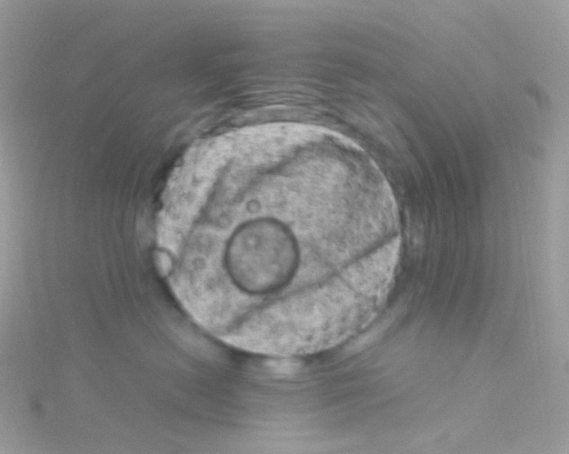 X0000115060478200911231218