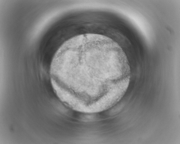 X0000115060479200911231218