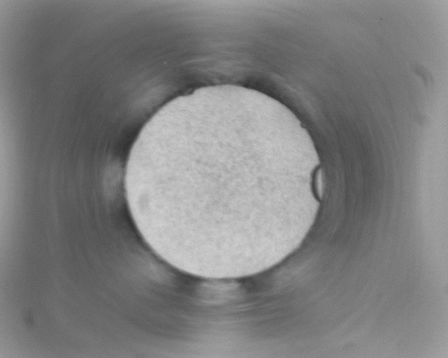 X0000115060480200911231219