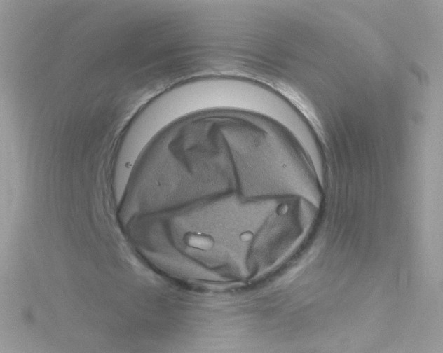 X0000115060481200911231218