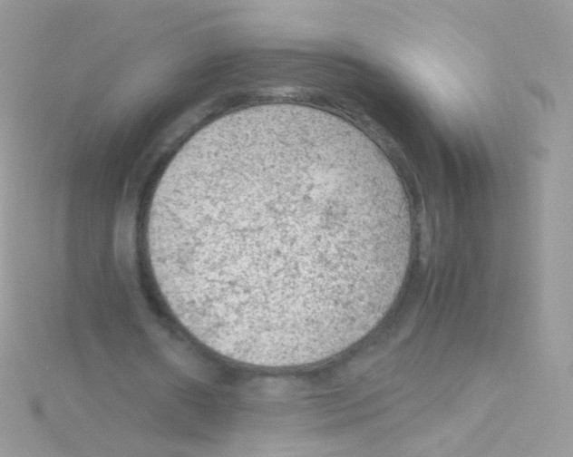 X0000115060482200911231218