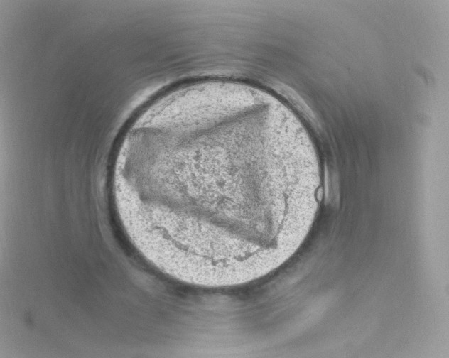 X0000115060483200911231218