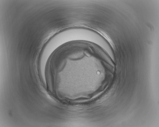 X0000115060485200911231218