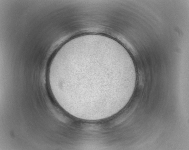 X0000115060486200911231218