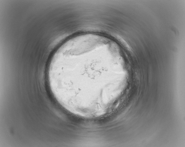 X0000115060487200911231218