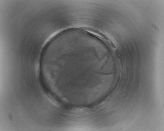 X0000115060488200911231218