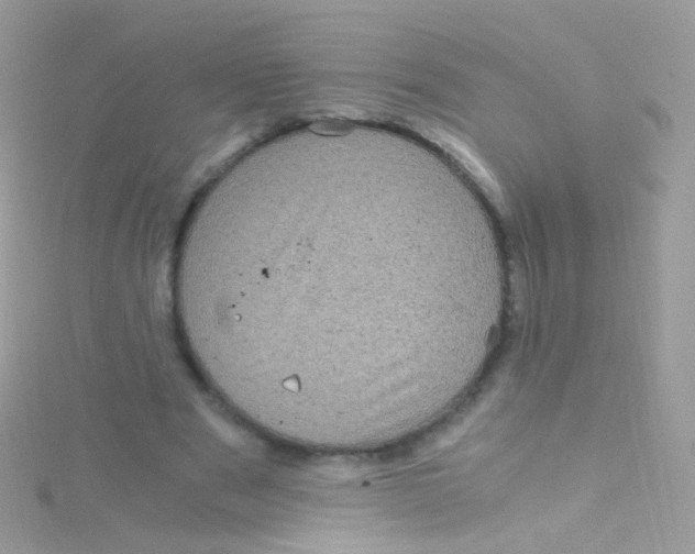 X0000115060489200911231218