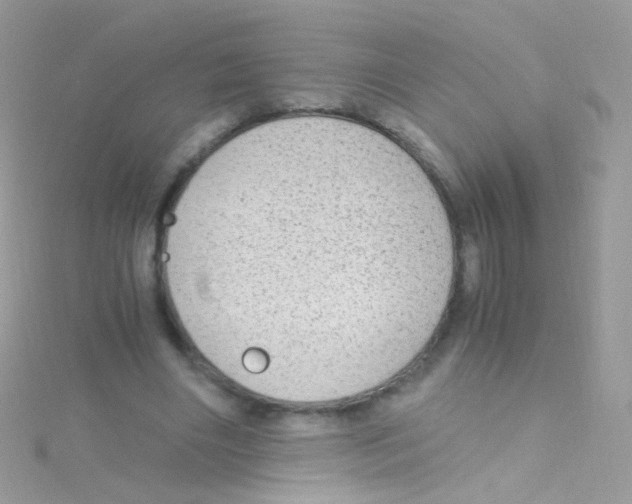 X0000115060490200911231218