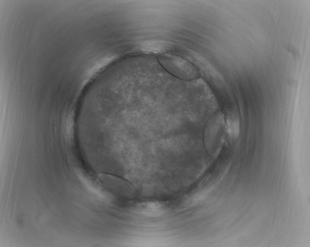 X0000115060492200911231218