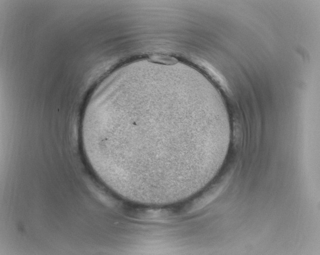 X0000115060493200911231218