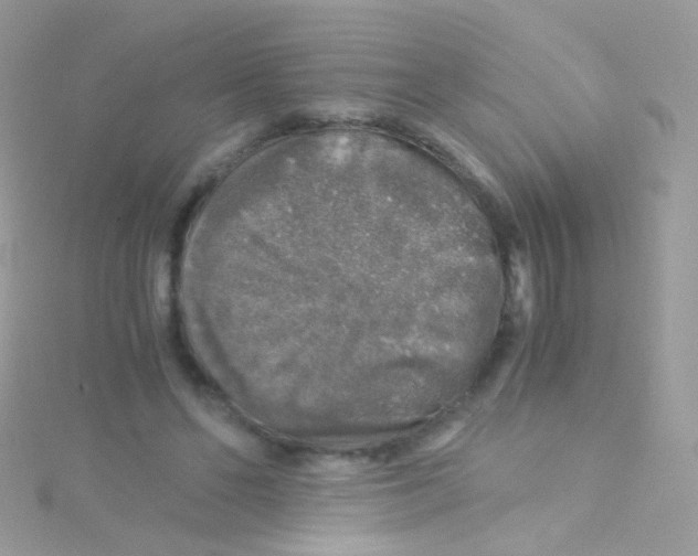 X0000115060494200911231218