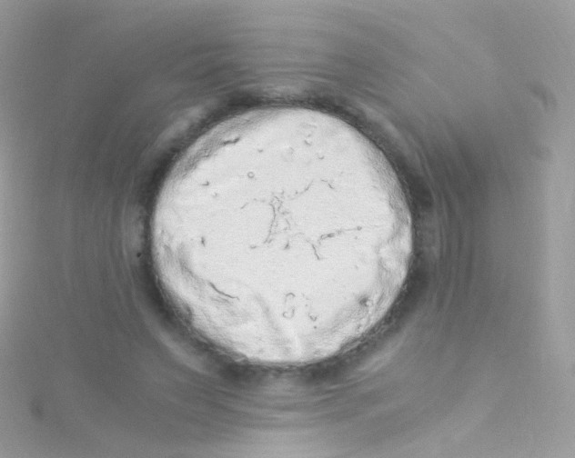 X0000115060495200911231218