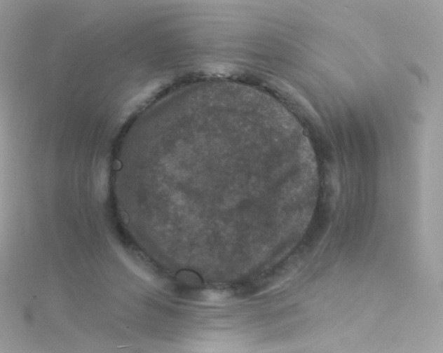 X0000115060496200911231218