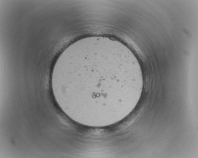 X0000115060497200911231218