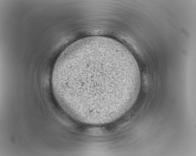 X0000115060499200911231217