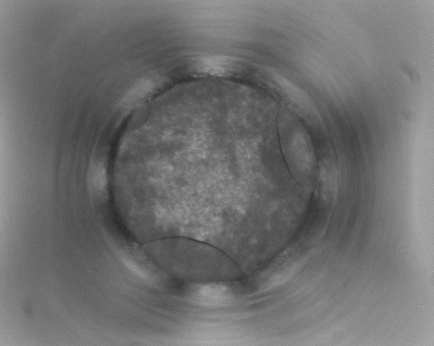 X0000115060500200911231217