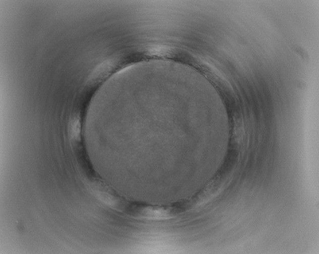 X0000115060502200911231217