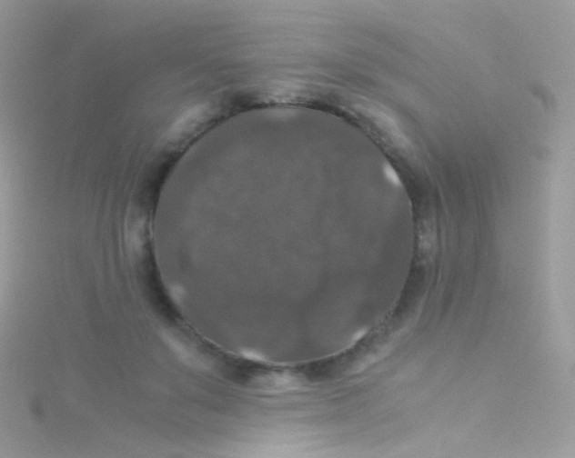 X0000115060503200911231217