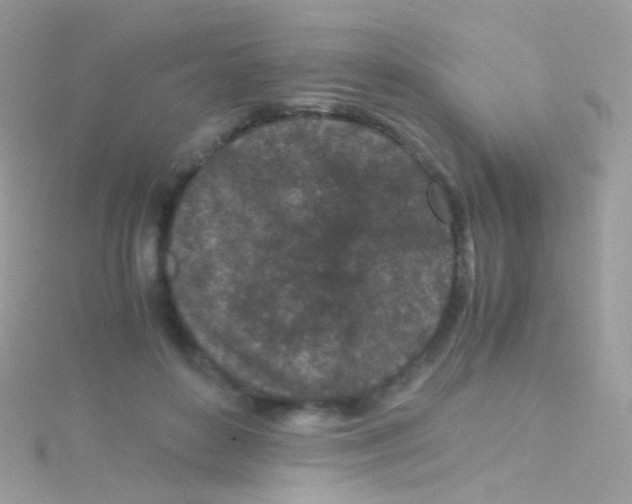 X0000115060504200911231217