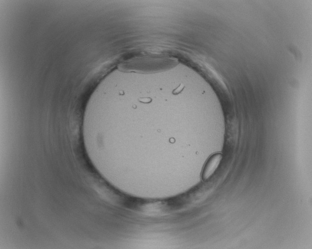 X0000115060505200911231217