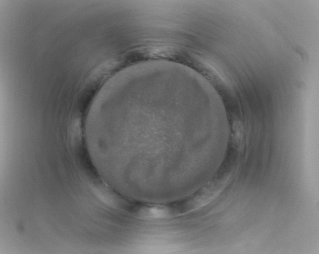 X0000115060506200911231217