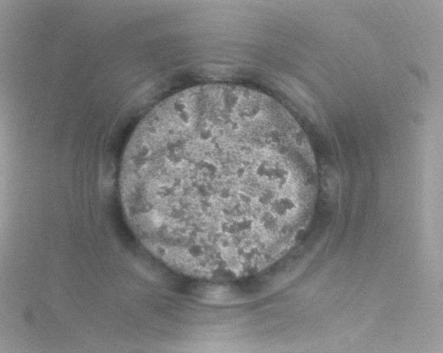 X0000115060507200911231217