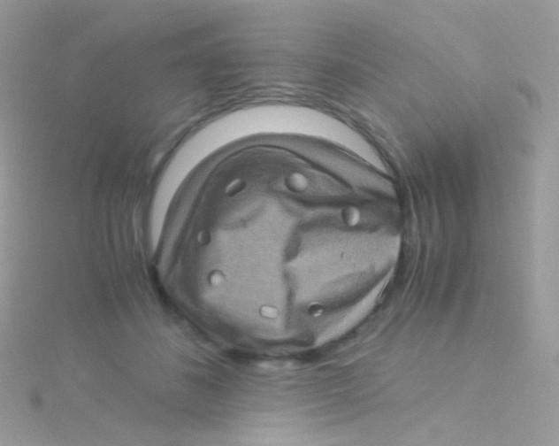 X0000115060508200911231217