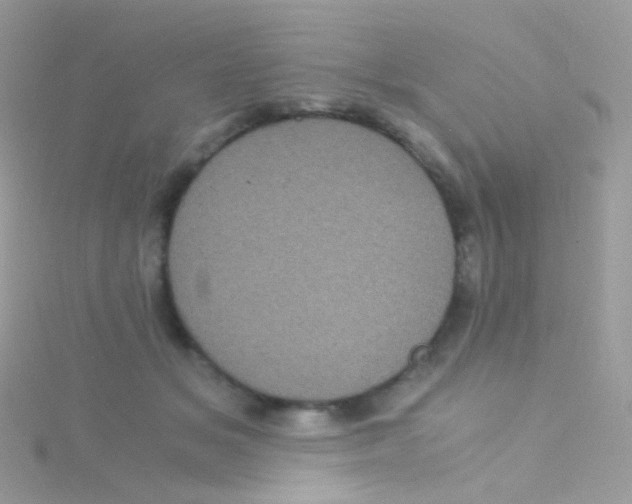 X0000115060509200911231217