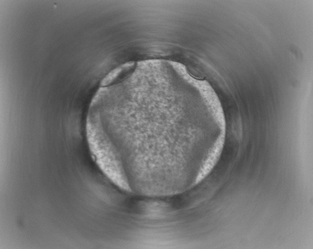 X0000115060512200911231217